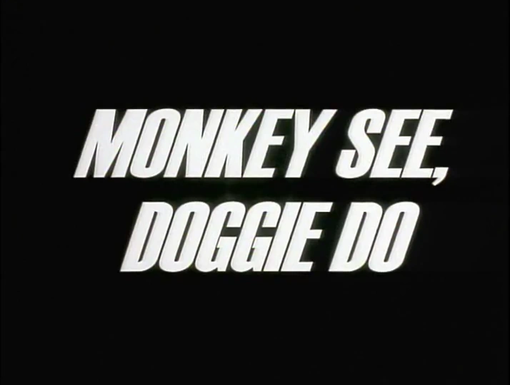 Trijosh1's tweet photo. Happy 25th Anniversary to "Monkey See, Doggie Do" and "Mommy Fearest"! I like how Mojo turns the people into dogs and the professor meets a "beautiful" woman. #ThePowerpuffGirls #PPG #MonkeySeeDoggieDo #MSDD #MommyFearest #MF #GenndyTartakovsky #ChrisSavino #JohnMcIntyre https://t.co/vUZm8Moocv
