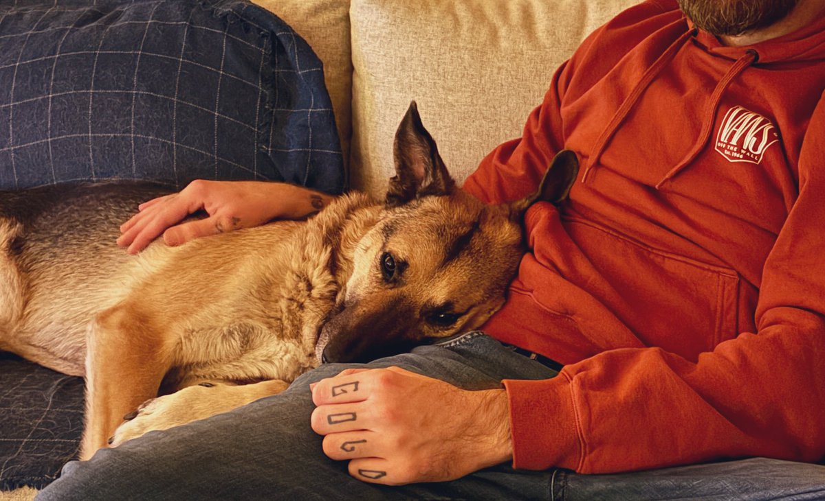 Eddie ist eben doch ein Schoßhund.