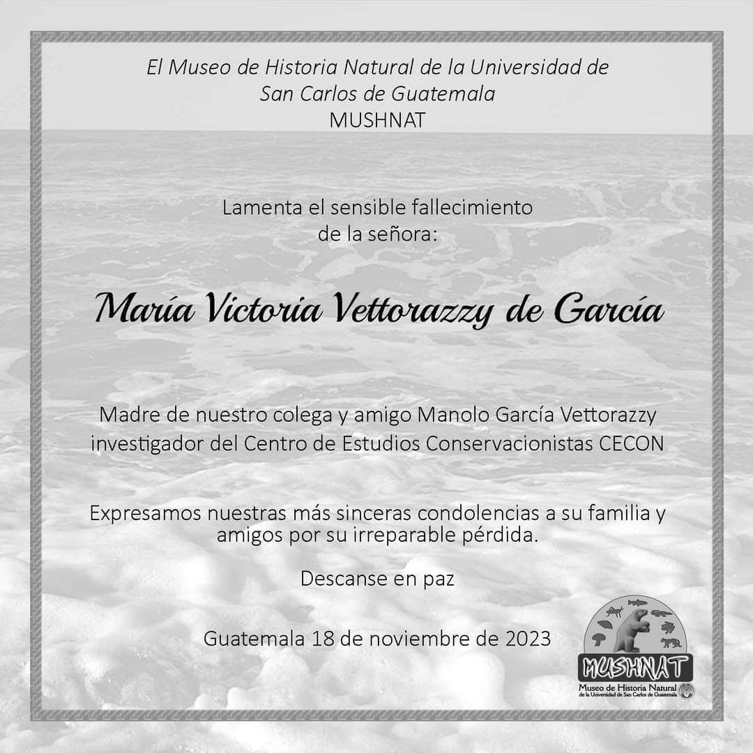 mushnatUsac's tweet photo. Expresamos nuestras más sinceras condolencias a nuestros colegas y amigos Manolo García y Vanesa Dávila. https://t.co/1HgQO2fdiW