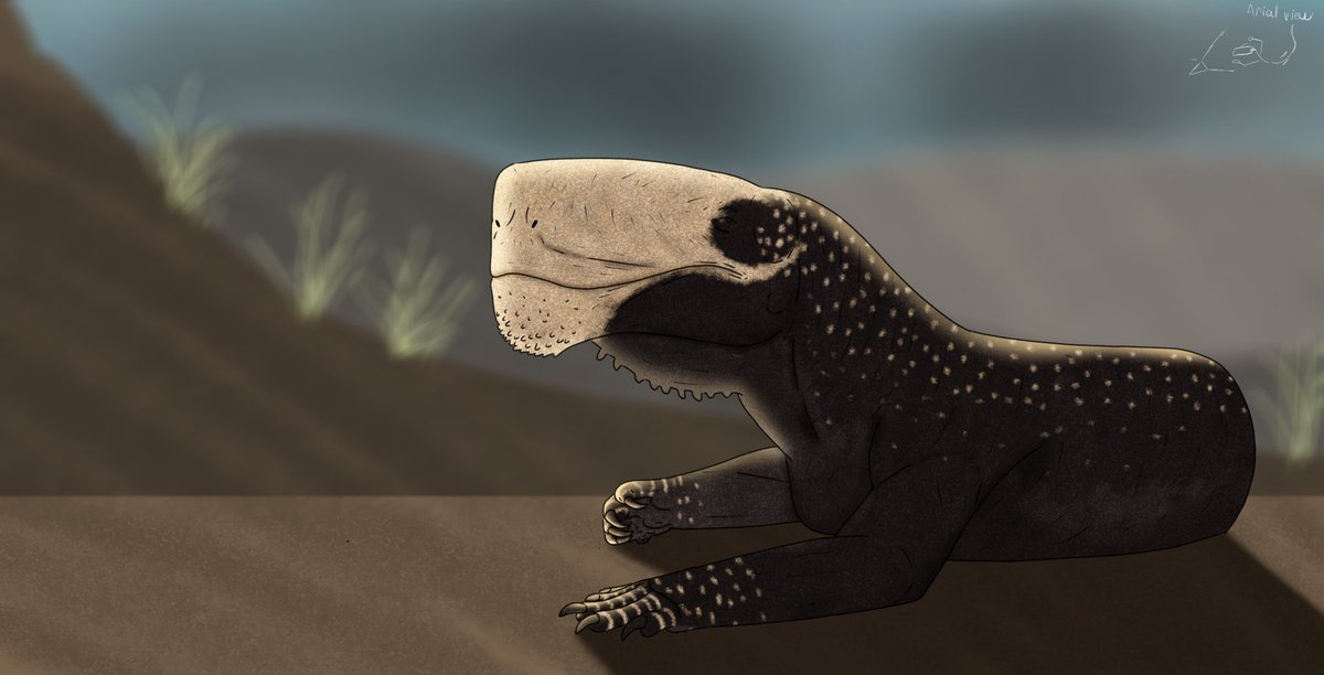 Inostrancevia the Largest Gorgonopsian