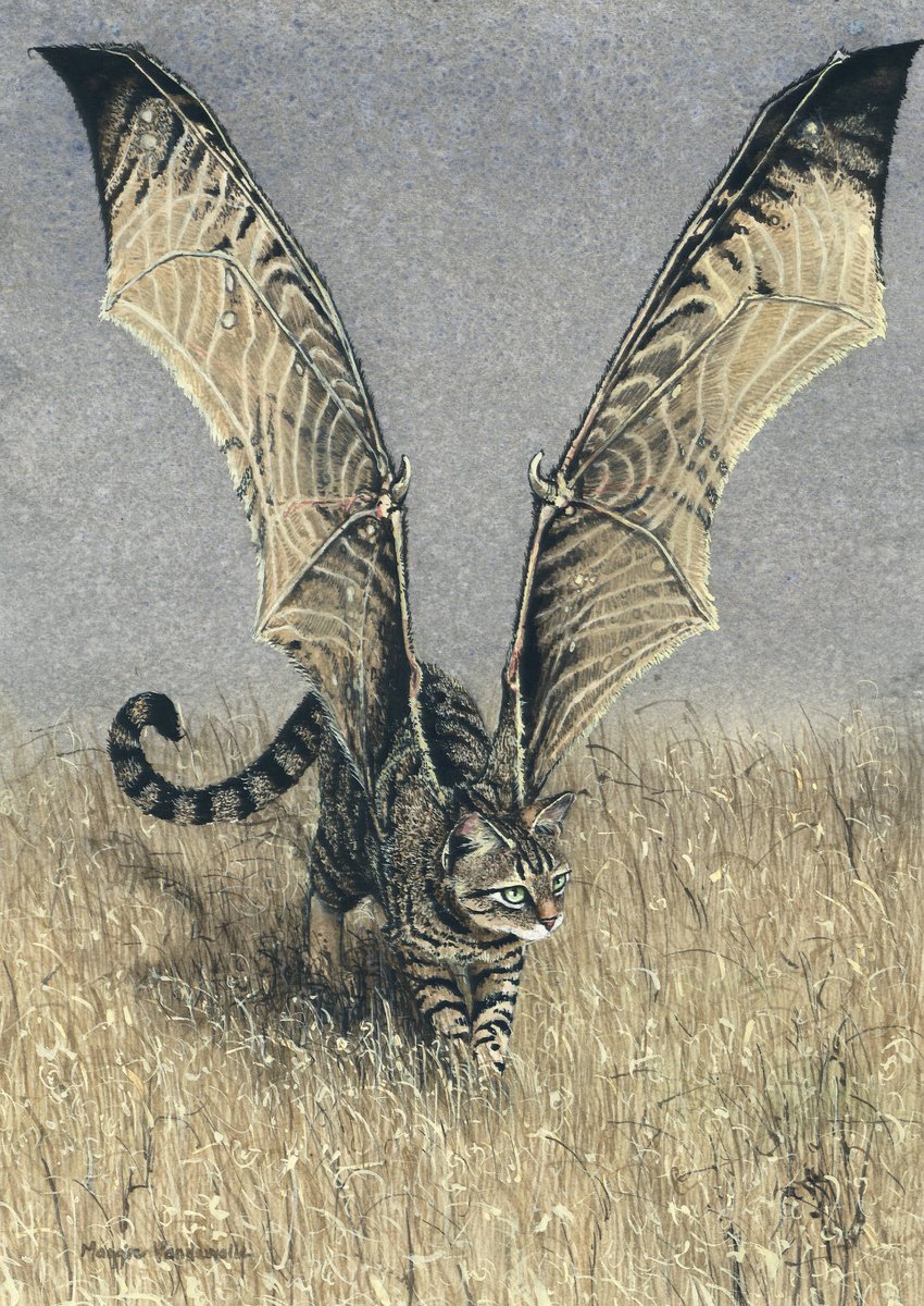 Prowling by Maggie Vandewalle