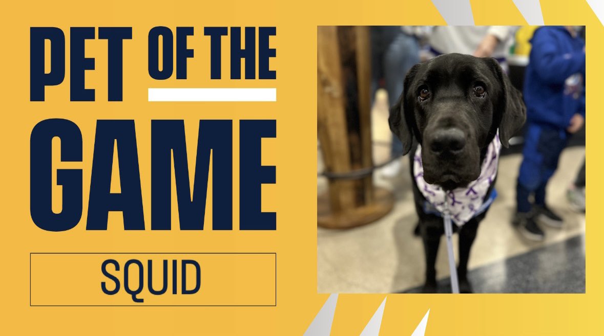 Today’s Pet of the Game is SQUID, <a href="/VUMCchildren/">Children's at VUMC</a>’s therapy dog!