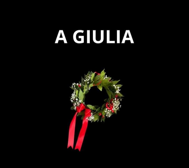 dalia anfossi🏀 tweet media