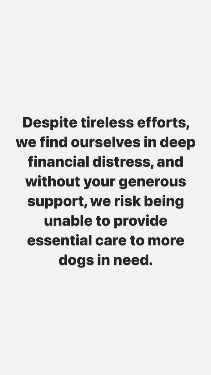 life_strays's tweet photo. Please Help 🙏🏻
@zeenews
@sood_chris
@peta
@petaindia 
@joedelhi
@anubhavmohanty_
@singhiskingh39
@ambikashukla15
@locaterobinplus
@dogitization
@tarana2510
@gauri_maulekhi
@tripathimandal
@animalcrossing https://t.co/7d4jFVFoiC