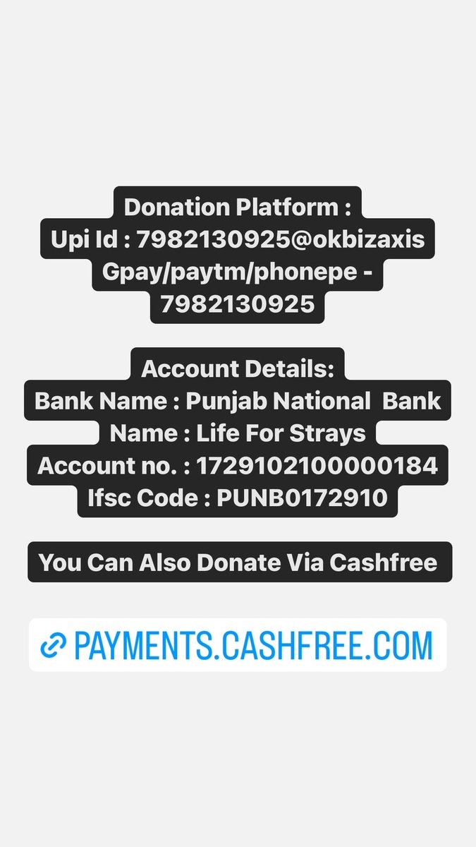 life_strays's tweet photo. Please Help 🙏🏻
@zeenews
@sood_chris
@peta
@petaindia 
@joedelhi
@anubhavmohanty_
@singhiskingh39
@ambikashukla15
@locaterobinplus
@dogitization
@tarana2510
@gauri_maulekhi
@tripathimandal
@animalcrossing https://t.co/7d4jFVFoiC