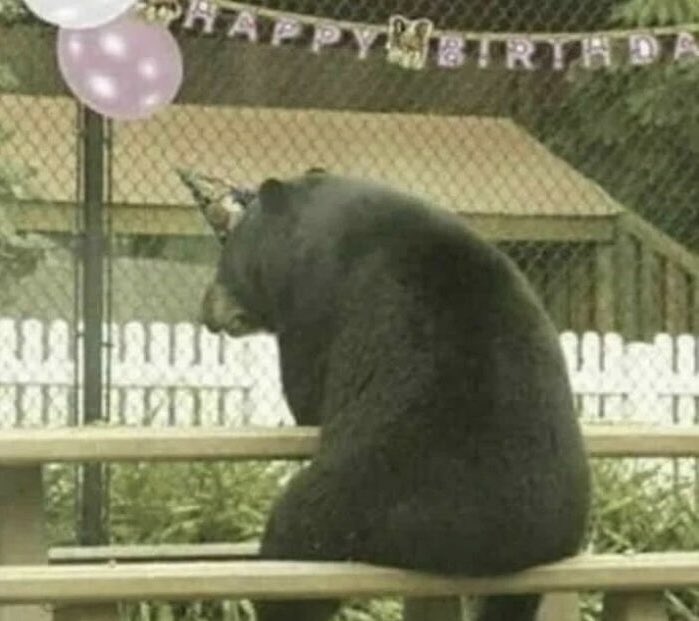 I saw a bear this morning.