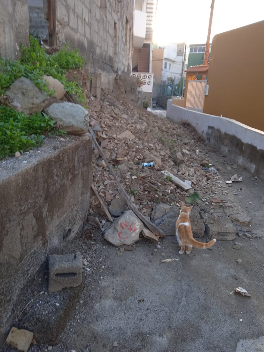 nujonsc's tweet photo. @TeldeActualidad , En la calle Blas de Otero en el pueblo de Jinamar, tras meses avisando de el estado de un muro, denuncias, finalmente ha caído, y el Ayuntamiento de Telde no hace nada. No pasa la silla de ruedas de uno de los vecinos. https://t.co/WEMjcE6E2A