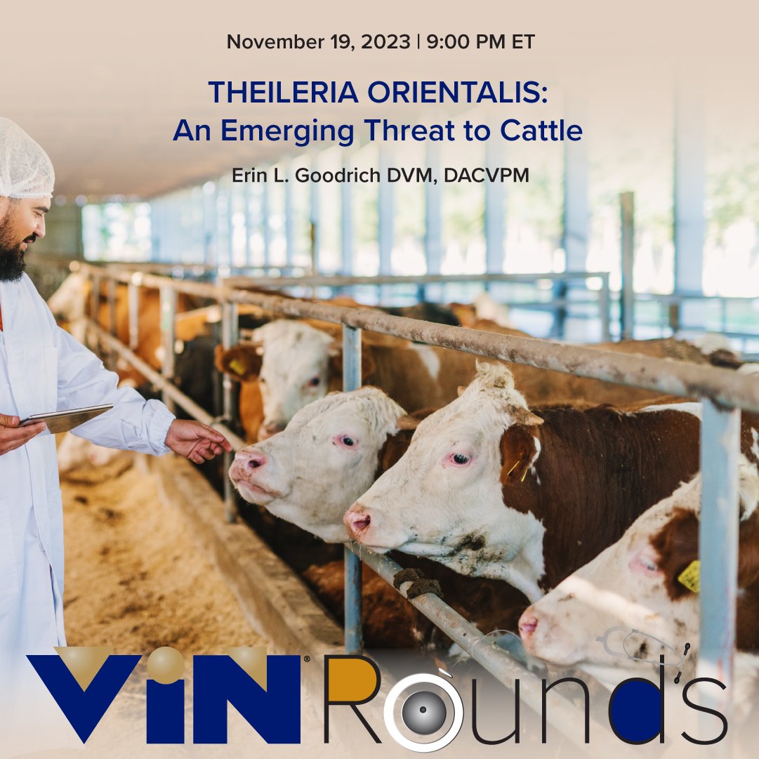 There's a new tickborne disease of cattle emerging in the northeastern US. Dr. Goodrich will explain the clinical signs to watch for, how to make the diagnosis, and how to minimize transmission. vin.com/vinmembers/rou…