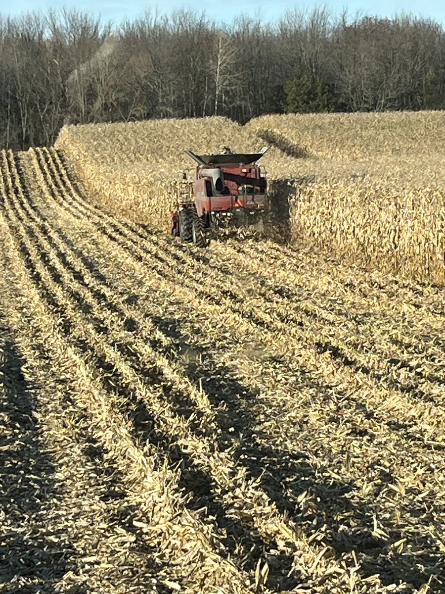 Another beauty day for #harvest23. ⁦<a href="/JCourneye/">Jason courneye</a>⁩