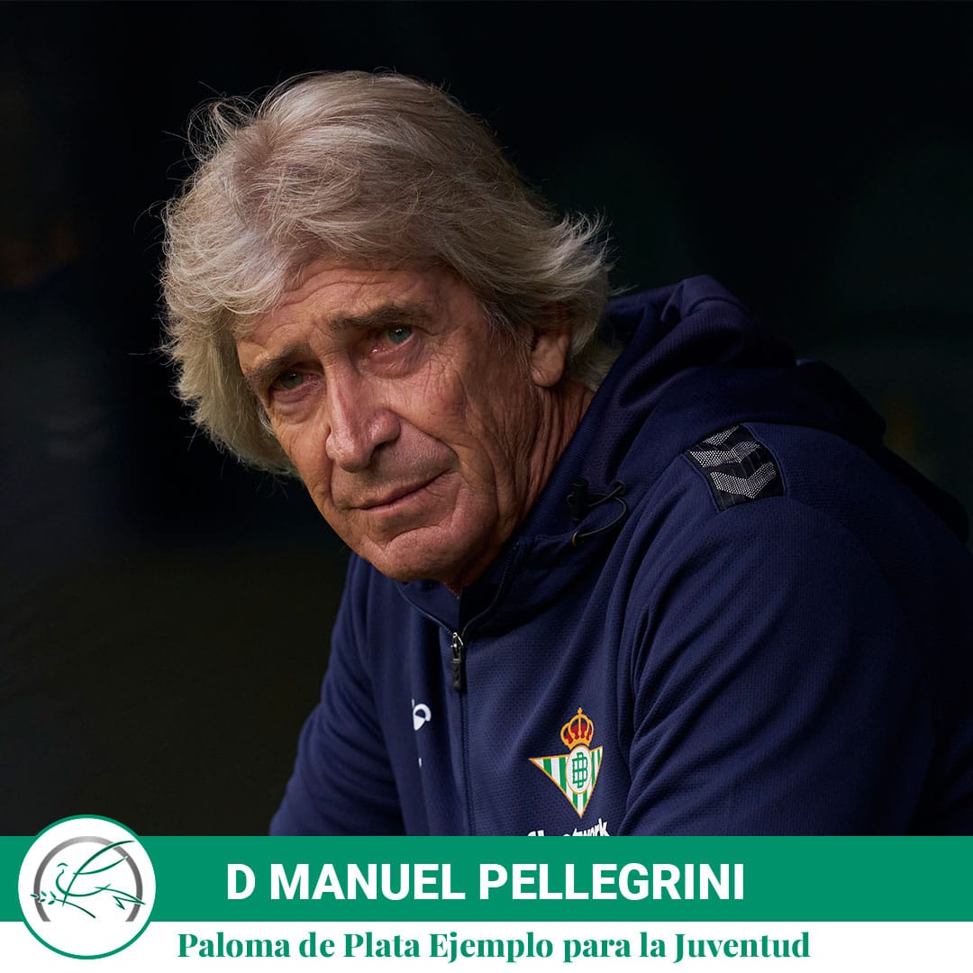 Escuela Cultura de Paz tweet media