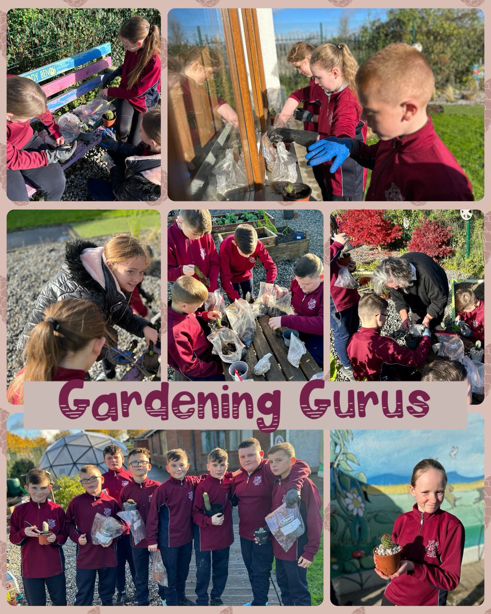 🌱👩‍🌾 Cultivating knowledge and green thumbs in 6th Class! Our students donned gardening gloves for a hands-on lesson in cultivating plants and nurturing nature. 🌿🌼 #GardenExplorers #GreenThumbJourney #HandsOnLearning