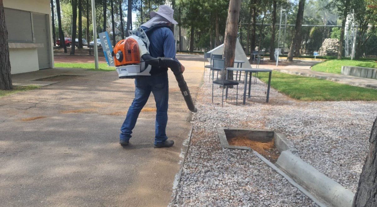 ParquesPuebla's tweet photo. Queremos mantener los espacios siempre listos para ti. Realizamos limpieza de áreas verdes, mobiliario y asadores en los #ParquesPuebla, como el Parque Flor del Bosque, Paseo del Río, Parque de la Constancia y Parque de la Niñez.
#ParquesTrabajando 👩🏻🌾🧑🏼🌾 https://t.co/9IEllv3IKh