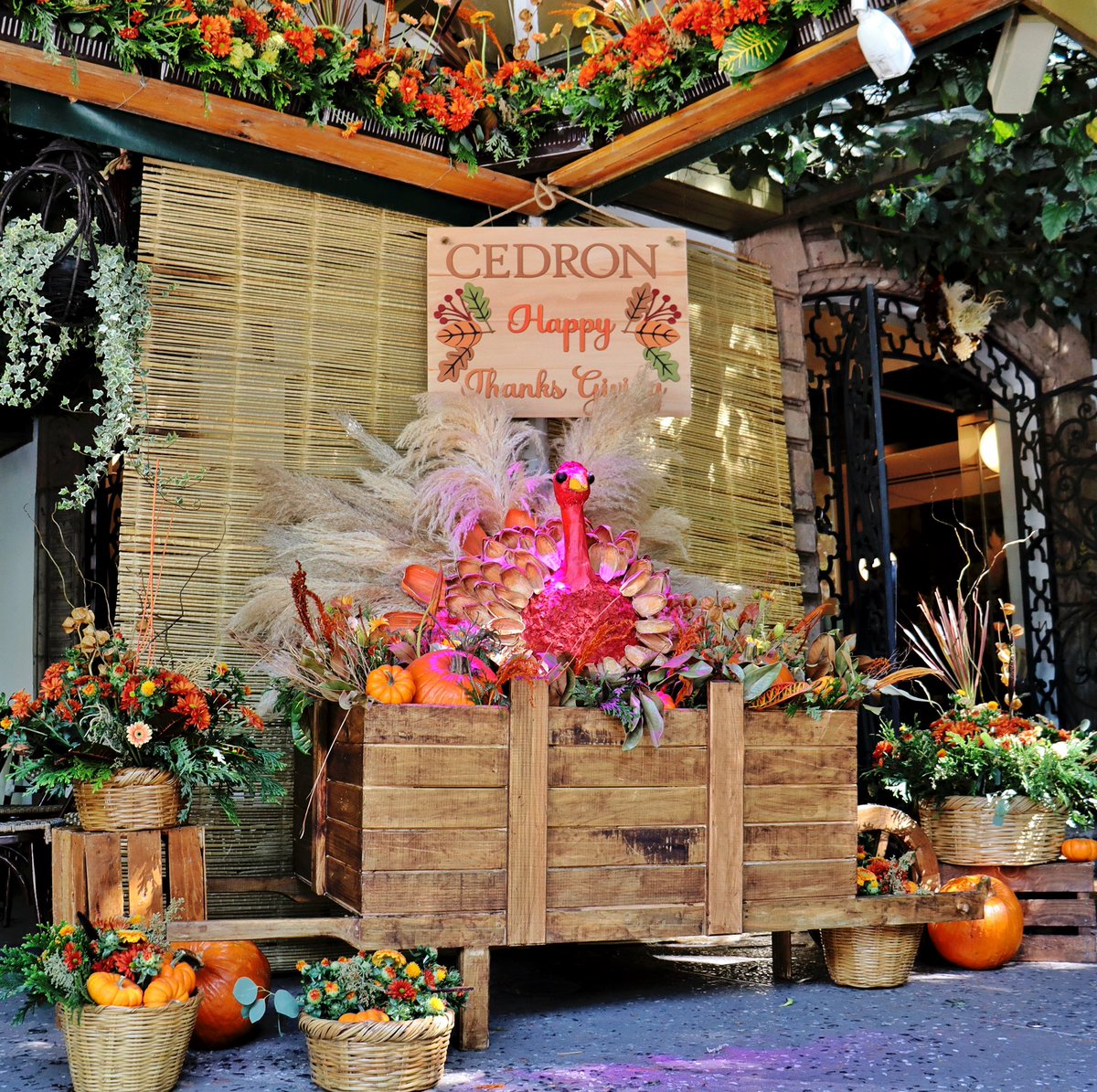 Ya tenemos todo listo para nuestra gran celebración de #Thanksgiving… ¡Una deliciosa tradición que adoptamos para lucir lo mejor de nuestra cocina! ¿Nos acompañas?

Jueves 23 de noviembre. Reserva ya vía WhatsApp: wa.me/525534646700

📍Cedrón / Mazatlán 24, Condesa