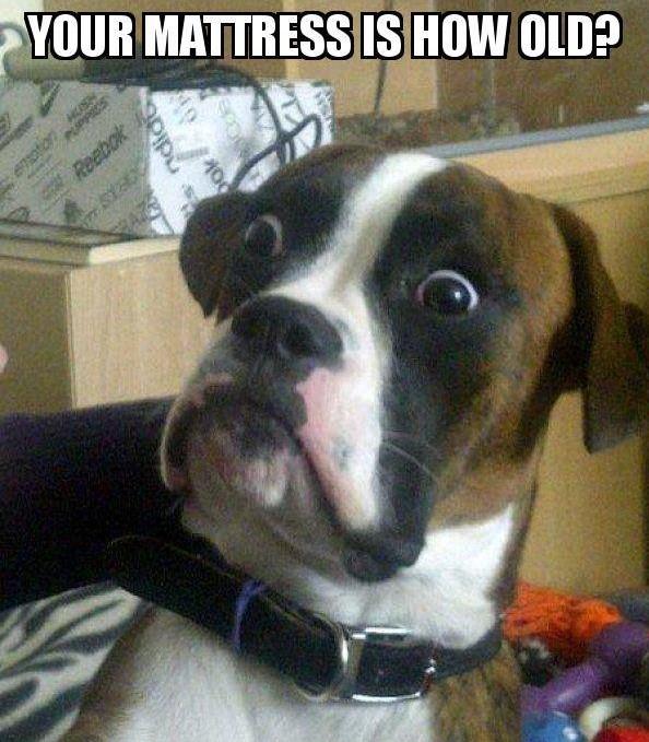 Don't miss out on mattresses, pillows, protectors &amp; more up to 50% off at our one-day sale to benefit <a href="/TempleisdArts/">TempleISD Fine Arts</a>. Head over to the showroom at <a href="/SchoolTemple/">Temple High School Wildcats</a>. We're only open til 5! #beds4temple23