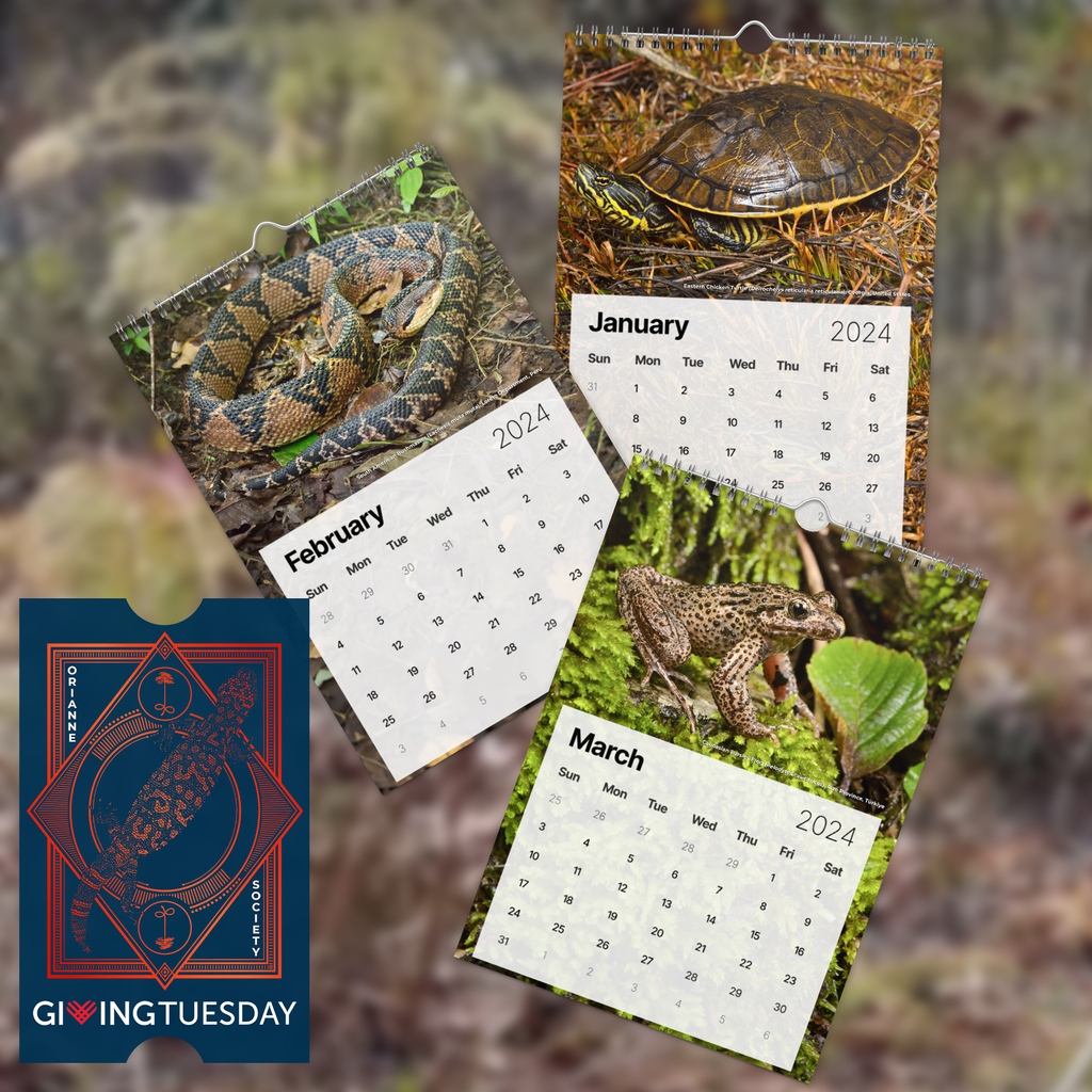 The Orianne Society tweet media