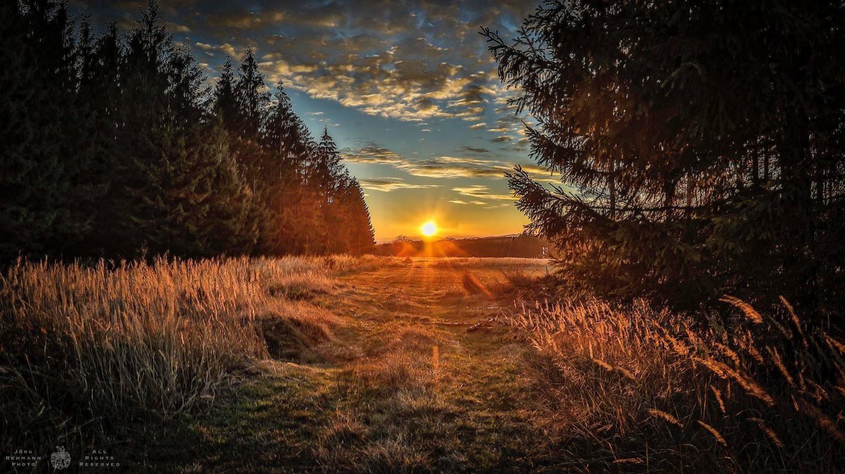 Joerg_Rehmann's tweet photo. Oktoberabend im #Soonwald https://t.co/9Dy0ezlm6p