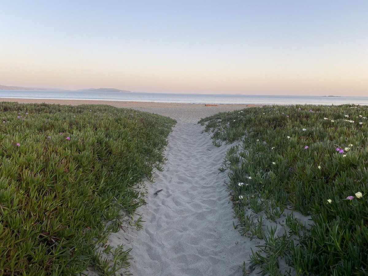kelandren3's tweet image. Utah is beautiful, but I’ve been inland too long. I miss the ocean… wish I was in #BodegaBay and could get my toes in the sand.