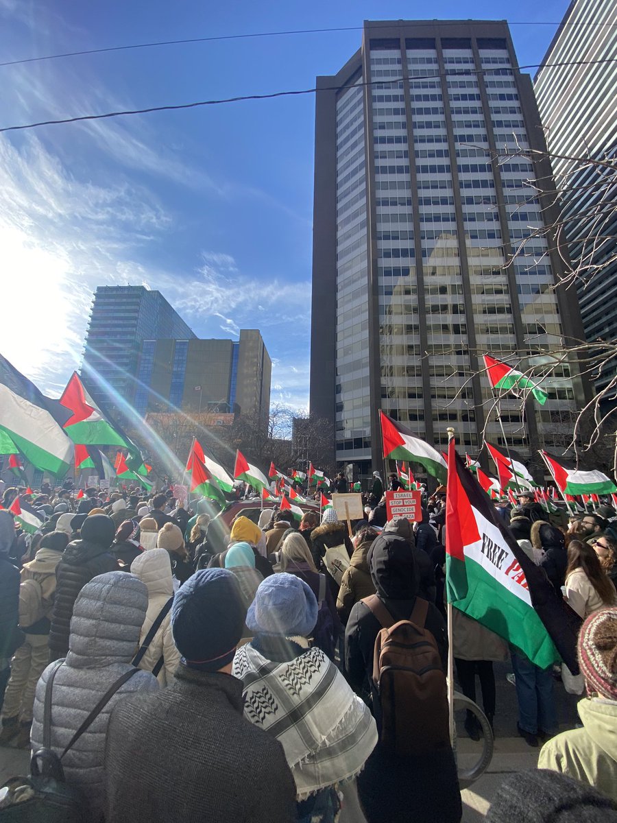 🕊️🕊️🕊️