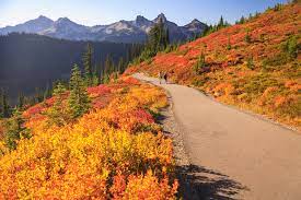 Flowers bloom sometimes and fall sometimes. There is no need to linger, what should go will eventually go; no need to be harsh, what should come will come sooner or later