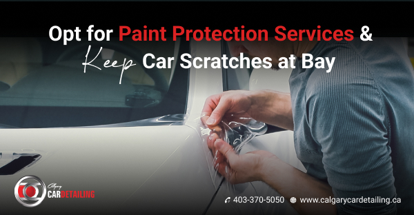 CACarDetailing's tweet image. Are you passionate about keeping your car in pristine condition?  At Calgary Car Detailing, we take automotive care to the next level with our state-of-the-art #paintprotectionservices. Call us at👉 403-370-5050 or visit👉🌐bit.ly/3QJzWZs today.

 #cardetailing #carpaint