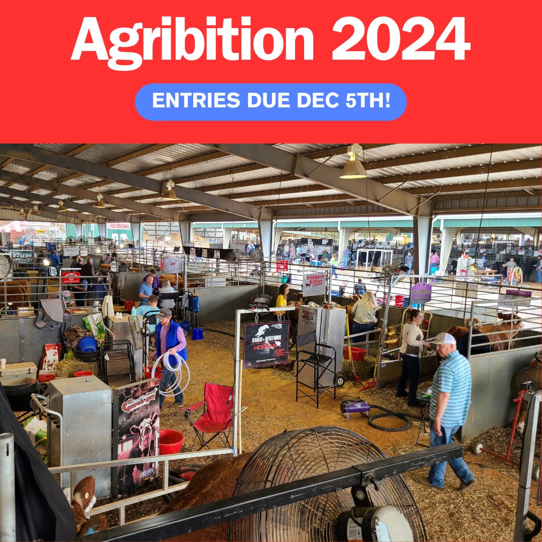 tnhereford's tweet photo. Just a reminder to anyone wanting to enter animals for the 2024 Beef Agribition, entries are due by Tuesday, December 5th. For more information, you can read our recent letter to members or contact Sale Manager Bobby Singleton.

https://t.co/WHF6FtkNRe https://t.co/jS7Q0trQnf