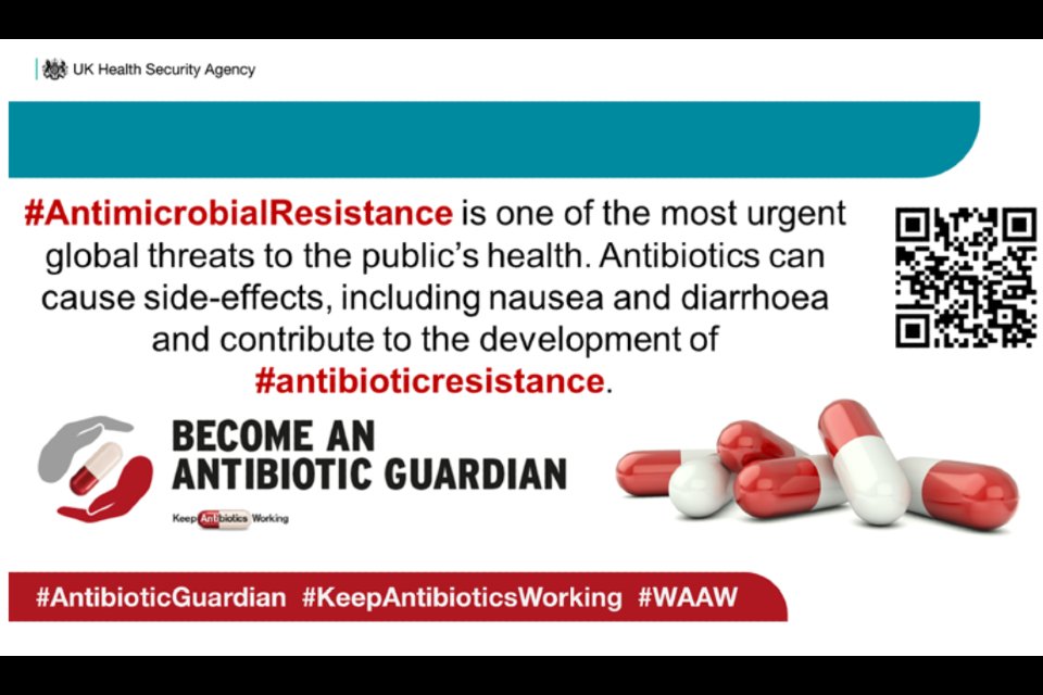 Syed_AD_Gilani's tweet photo. #waaw2023 make a pledge to become an antibiotic guardian https://t.co/Sj1VkyLeGt