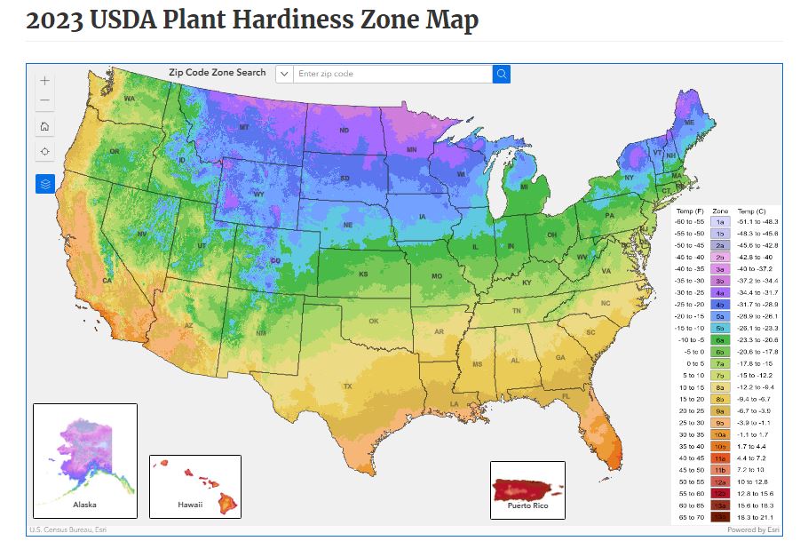 SonomaCountyMGs's tweet photo. The 2023 USDA Plant Hardiness Zone Map has been updated
Zones help you determine if the plants in your garden need winter protection or not
So check to see if yours has changed
https://t.co/kFiP5sWVap
#sonomacountymg #usdazone https://t.co/qjSVnHSjxi