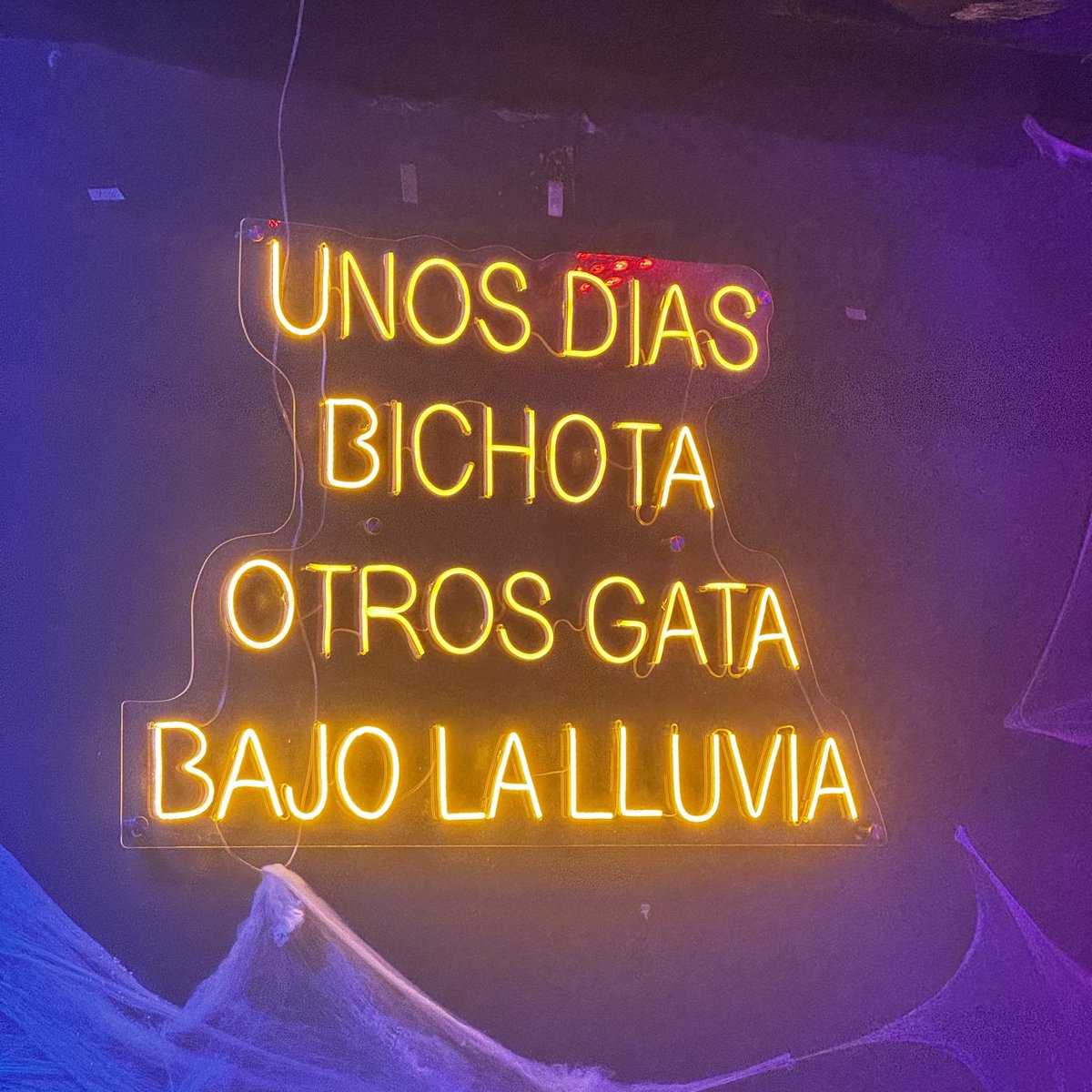 Salvador tweet media