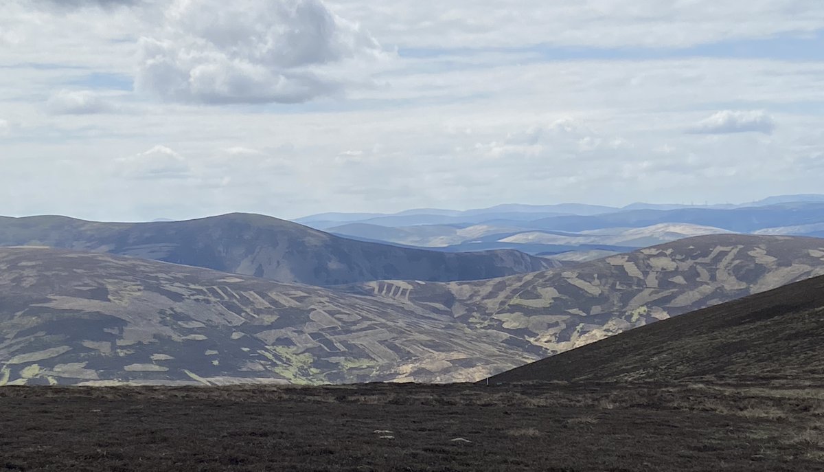 Rewild Scotland 🏴󠁧󠁢󠁳󠁣󠁴󠁿🌳 tweet media