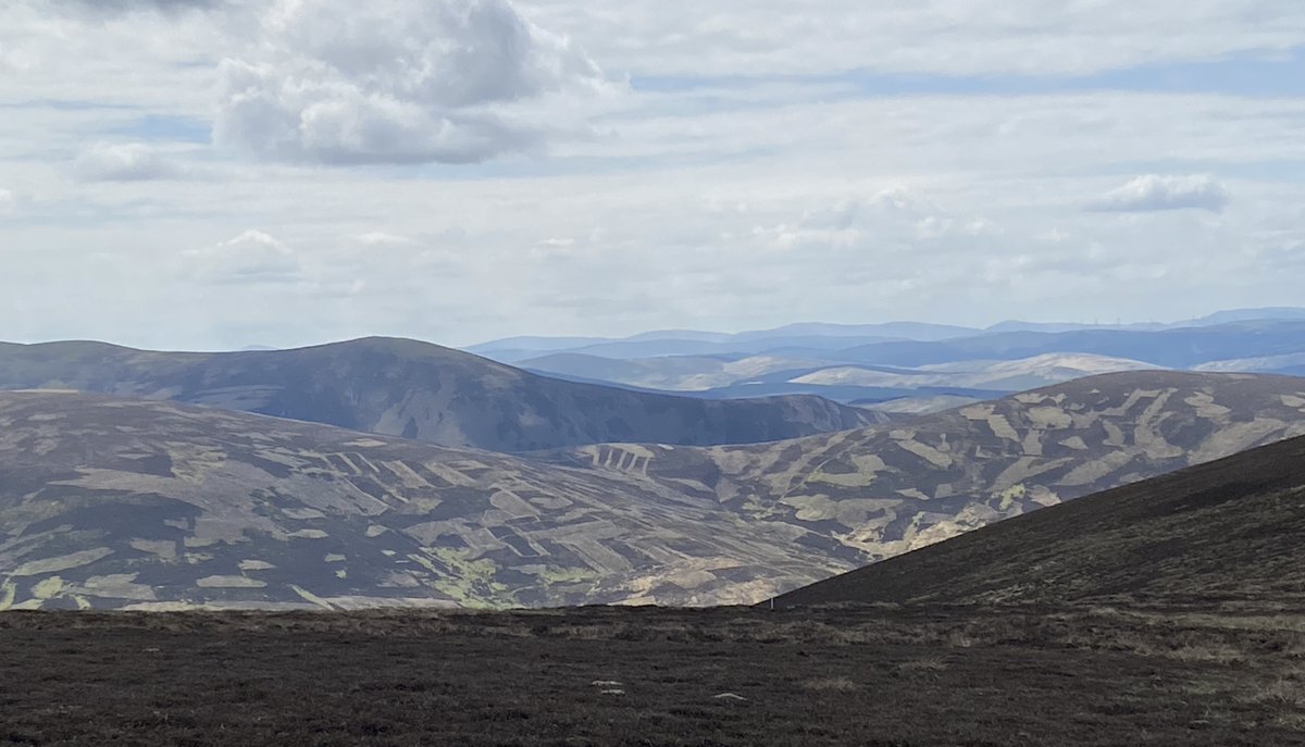 This is how a wealthy few desecrate Scotland’s uplands, our uplands. #ClimateCrisis #BiodiversityCrisis #WhereAreTheTrees