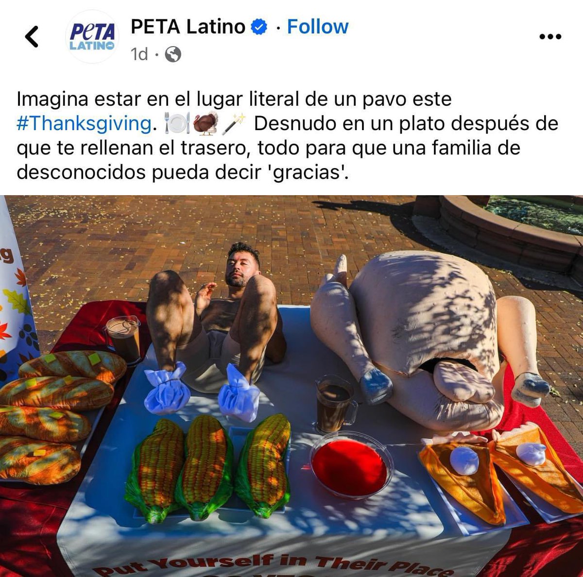 NotLaGrupa's tweet photo. PETA / Los gays leyendo https://t.co/gmg0Ey0B10