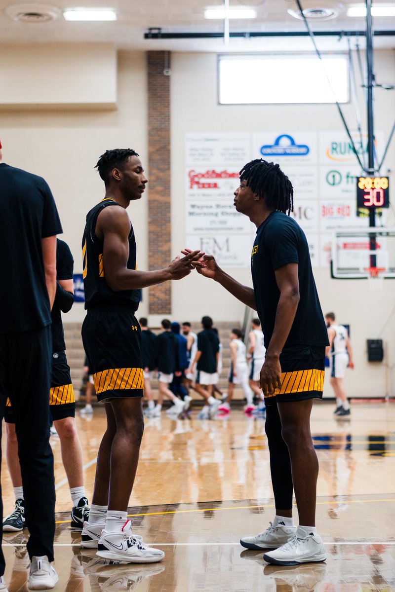 Wayne State MBB tweet media