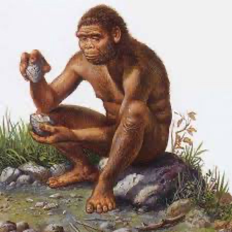 fournier65's tweet photo. #Transhumanism started 2 millions years ago with Homo Habilis. Do you agree ? https://t.co/xDnxdvjvvu