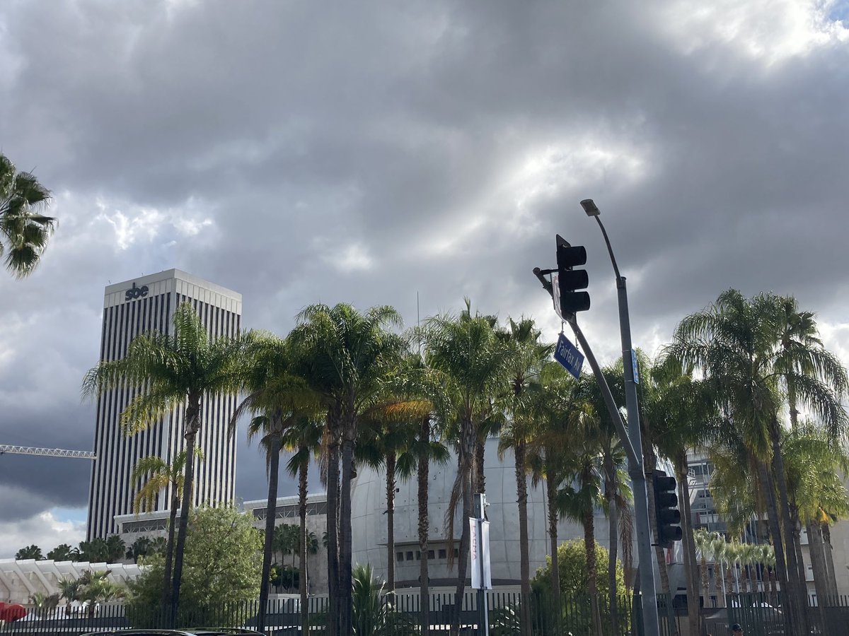 The Great L.A. Walk tweet media