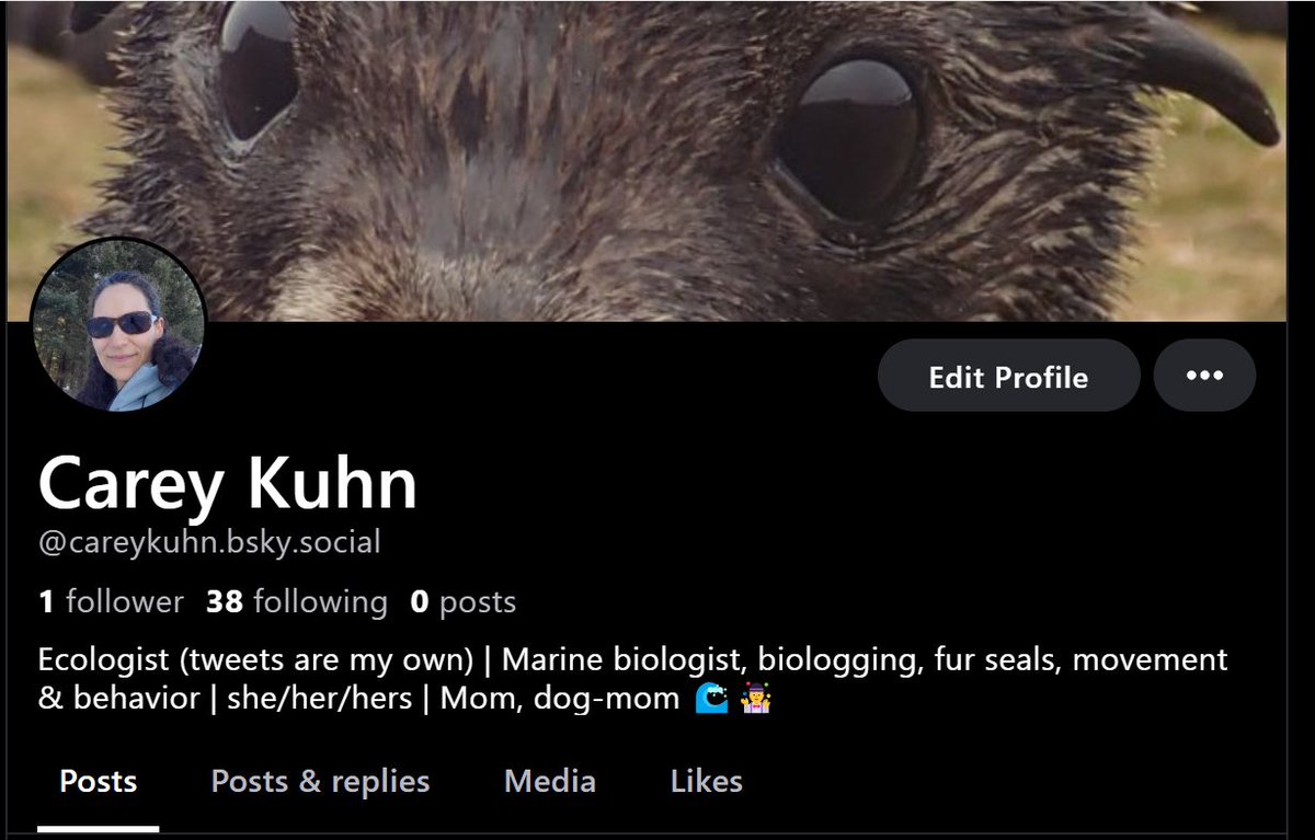 Carey Kuhn, PhD tweet media