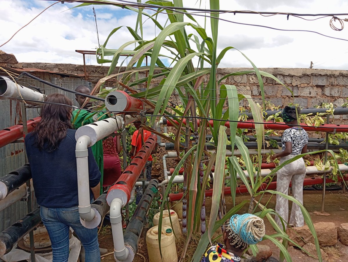 NjiruFeminists's tweet photo. Thrilled to host the amazing team 4rm Growth for Change at NjiruFeminists' office and farm today! Grateful for their support in our shared vision for #LandFoodAndFreedom. Together, let's keep nurturing our planet and advocating for food sovereignty. #Growth4Change #FoodIsPolitics https://t.co/yqGGOGlBjr