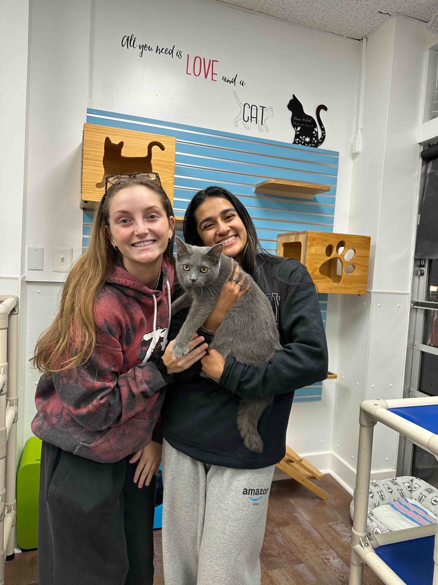 Hazelnut had a bit of a sleepover with us 😴 She was only here one night before finding her fur-ever home 🏡 congrats sweet Hazelnut!
#karmacatzendog #adoptdontshop #catadoption