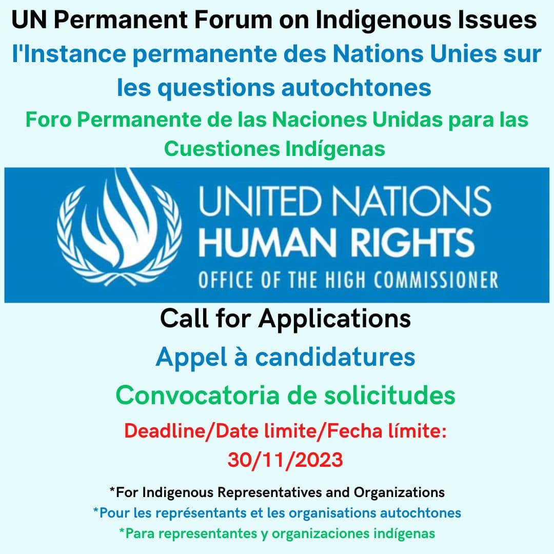 CSORG's tweet photo. THE @un_indigenous CALL FOR APPLICATION TO THE #UNPFII IS NOW OPEN!!!
Please share the call with your network. #UNPFII #WeAreIndigenous #Proud2BIndigenous
https://t.co/TQ9MhA30iR https://t.co/F3kwuO1R2J