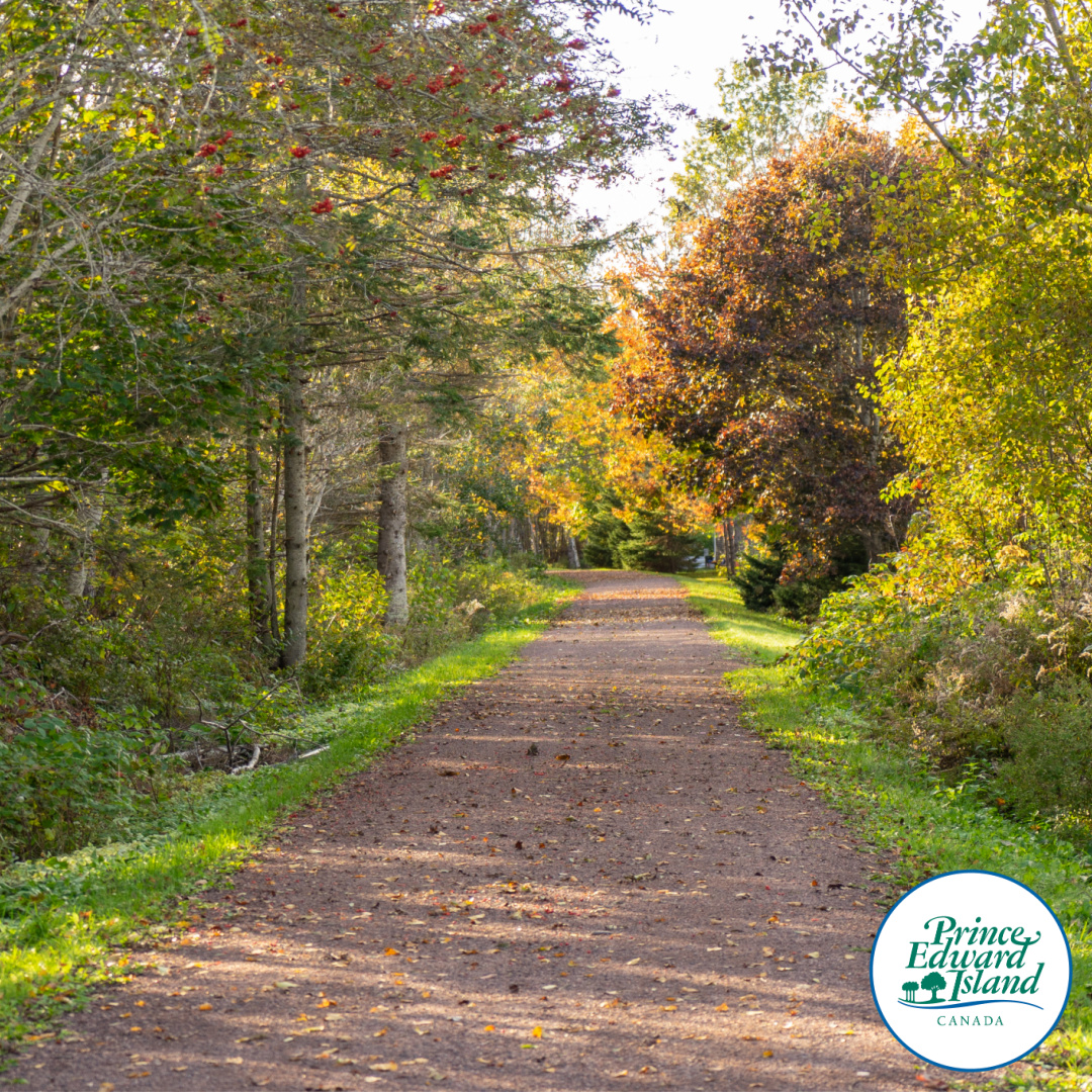 InfoPEI's tweet photo. The province wants to hear from Islanders about how user groups, stakeholders &amp; the general public can work together to enjoy &amp; preserve the Confederation Trail.
Please provide feedback through the online survey https://t.co/W6fXB9vx8p  
email DTIpilot@gov.pe.ca fax: 902-368-5395 https://t.co/IvpsZ59mgu
