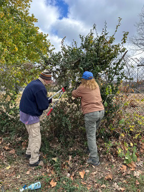 terryvofornash's tweet photo. Thank you to @Trees4Nashville for hosting the 21st annual ReLeafing Day! 🌳🌳🌳Thanks to all the volunteers who helped plant trees at @MetroSchools Johnson ALC @fallhamiltoneos and Edgehill! 🍂🍃🍁#MetroCouncilNash https://t.co/qF6qRQJ0yi