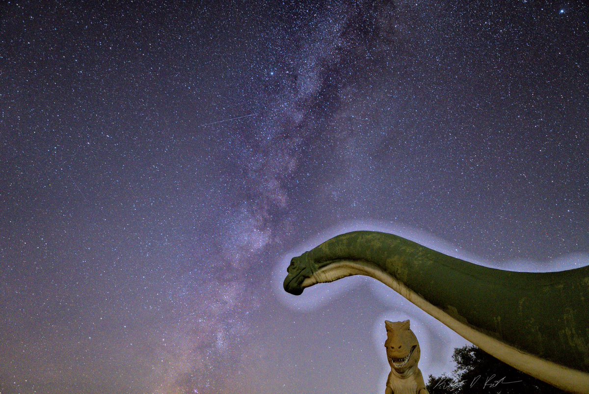 RileyRothe's tweet photo. Single exposure, 20 seconds #Astrophotography #milkyway #photograghy https://t.co/slrbWwWvNW