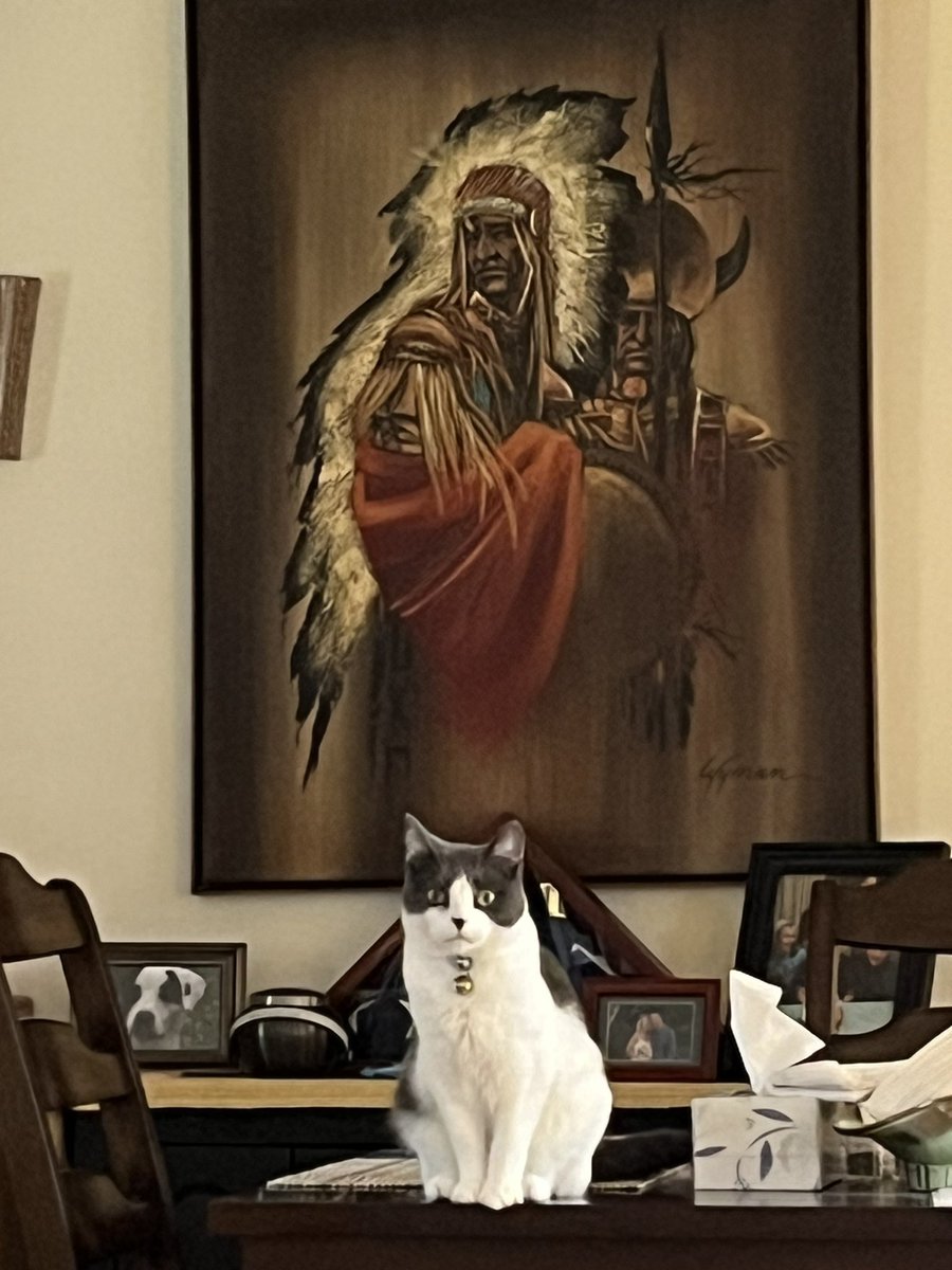 Happy #Caturday friends!! Mom hasn’t posted in a while friends!! She’s working waaay too much! She said I am getting so big. Hope everyone is doing well😸🐾🐾 #cats #CatsAreFamily #CatsofTwittter