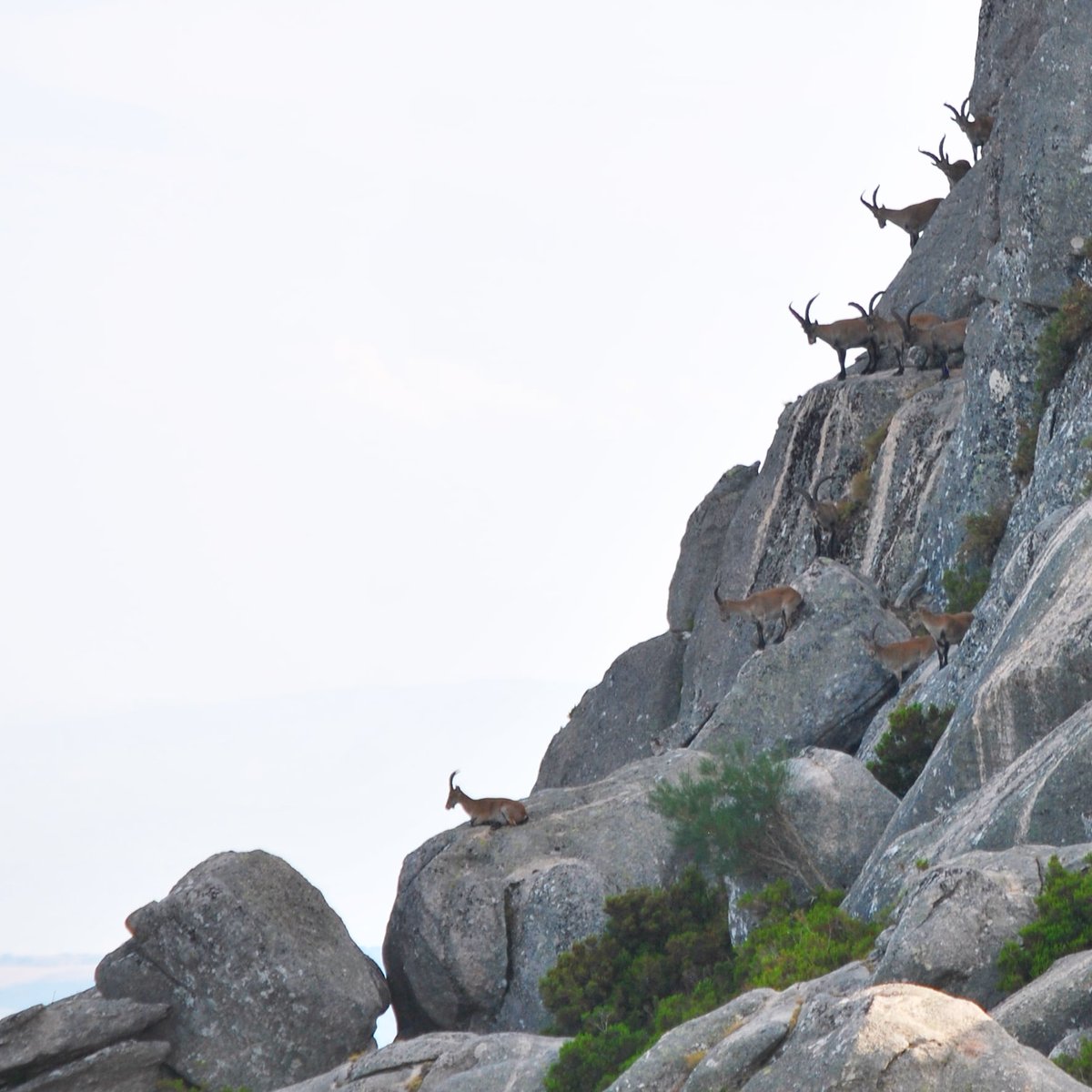 Os paseos polas montañas xuresianas ofrencenche estos regalos da natureza #destinoxures #xuresvivo #somosrural #vivimosnorural #resistenciarural