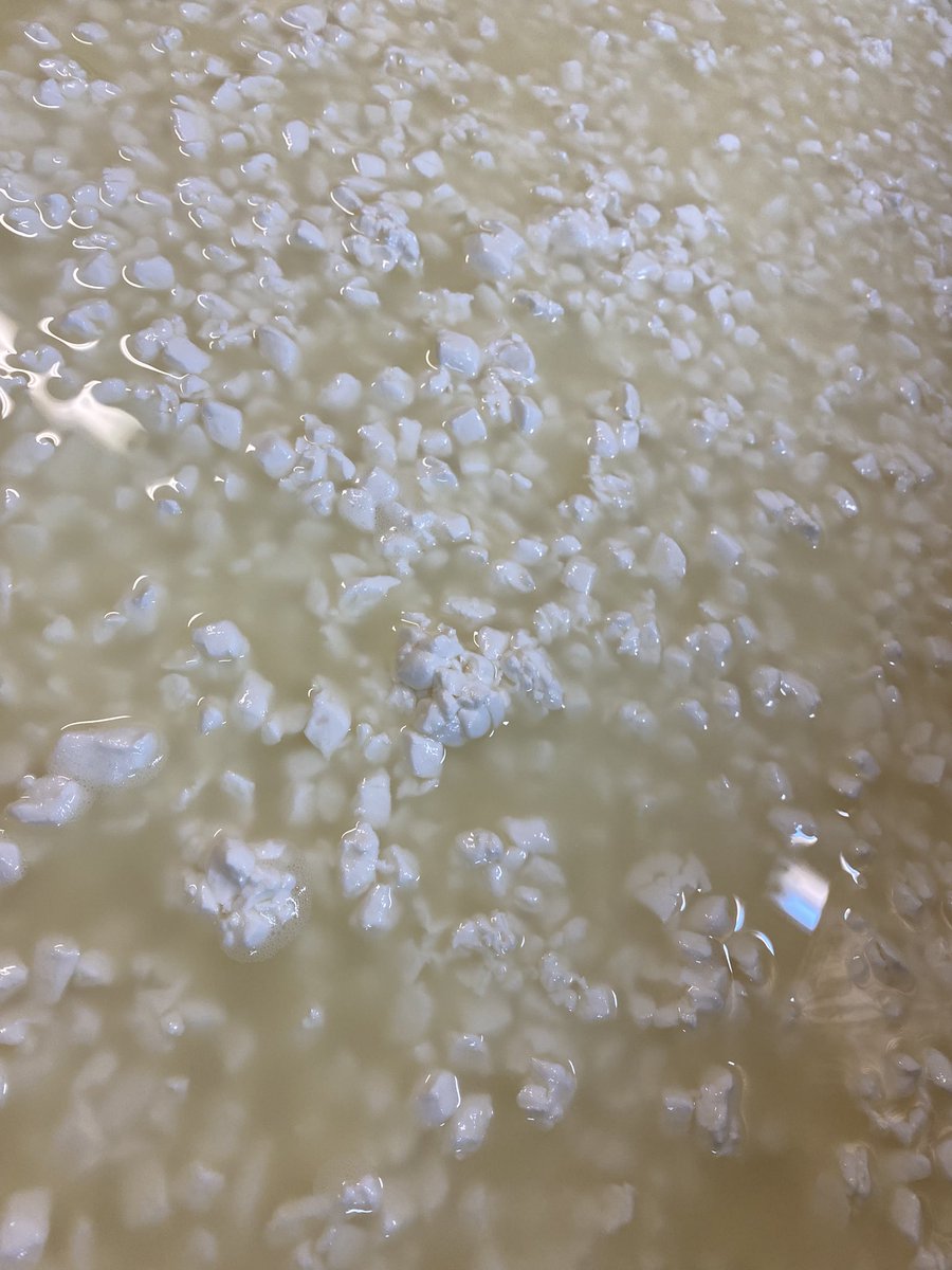 Flathead Lake Cheese tweet media