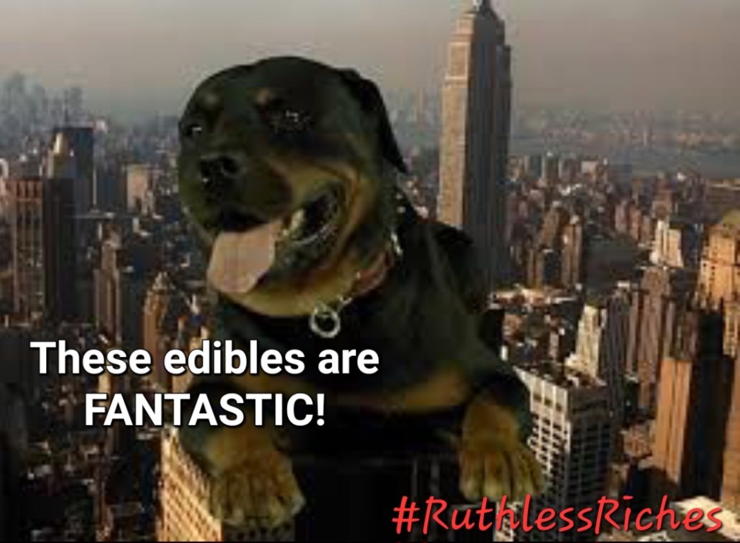 CBRNOIR's tweet image. I like the ease of gummies think that the baked good hit harder. I enjoy when I can trip out a bit, close my eyes, and float to another time and place in my mind. @Ruthless_Riches #GotWeed
"Why you always disrespectin' me when I'm working the grill B?"  @RR_Innovator