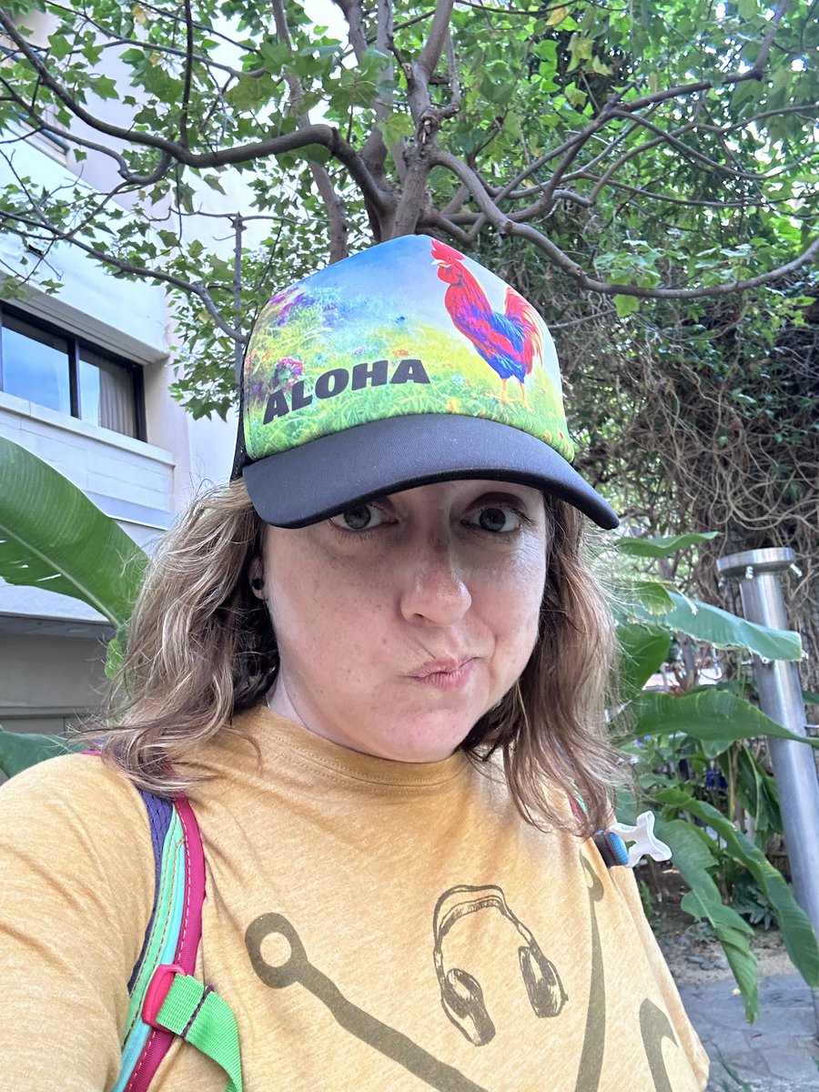 ShitAnnaMakes's tweet photo. Aloha chicken. #alohabitches https://t.co/YDECKpy7S8