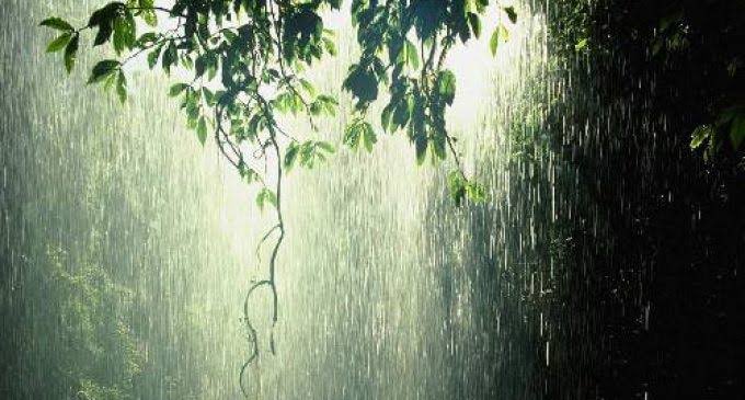 Allah'ın en güzel nimetlerinden biri olan Gökten inen #yağmur üzerine hadi biraz #tefekkür edelim🤗