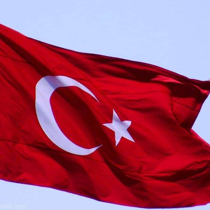 🇹🇷 Özlem Kotan 6125 🇹🇷 tweet media