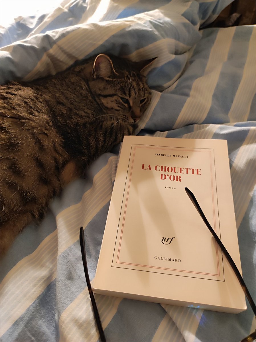 Ce soir avec une chouette compagne de lecture 😻

📖 La chouette d'or 
✍️ Isabelle Mayault
🖨️ <a href="/Gallimard/">Gallimard</a>

Cc <a href="/potirone/">Christiane Mirabaud 🇺🇦🇱🇧🇲🇦🇮🇷🇦🇲🇮🇱🇰🇼</a>

#reading #lecture #lectureencours
#book #livre