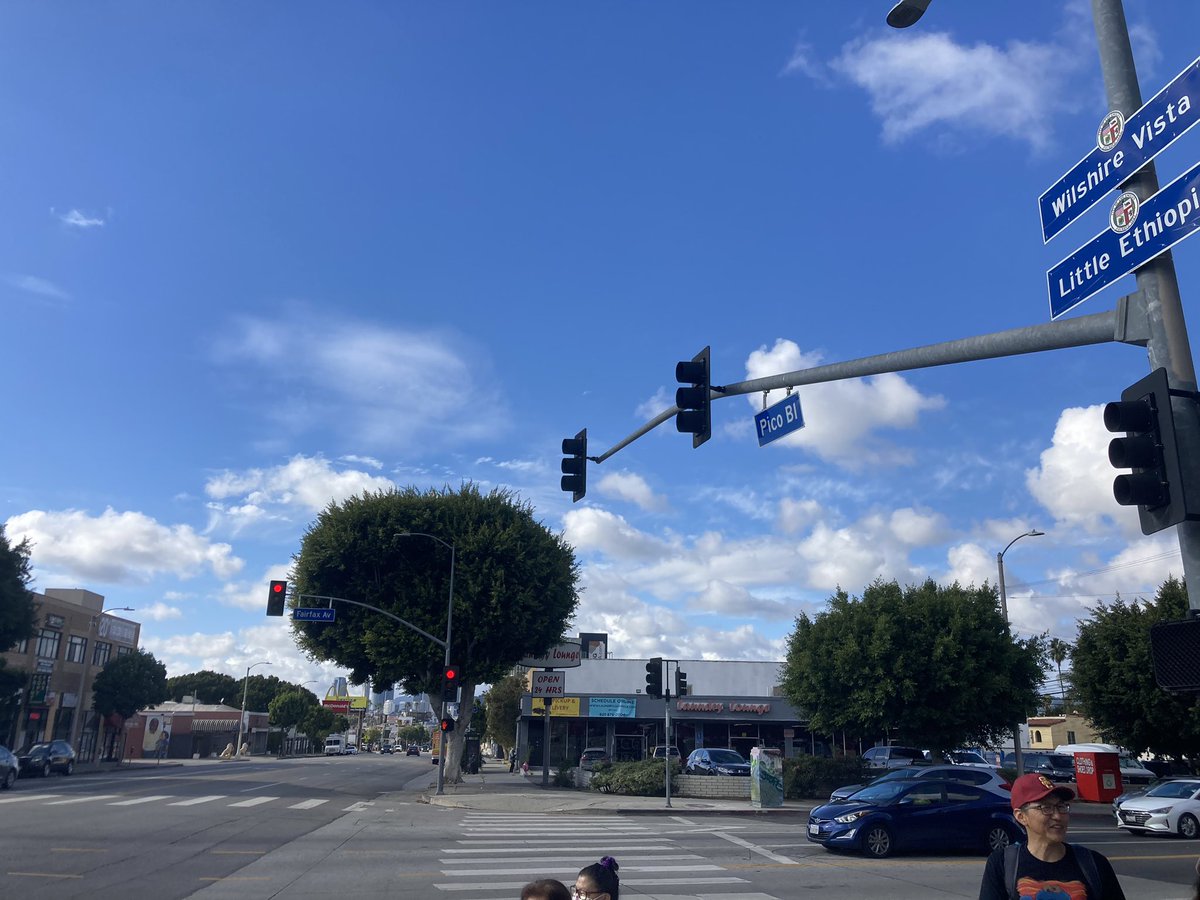 The Great L.A. Walk tweet media